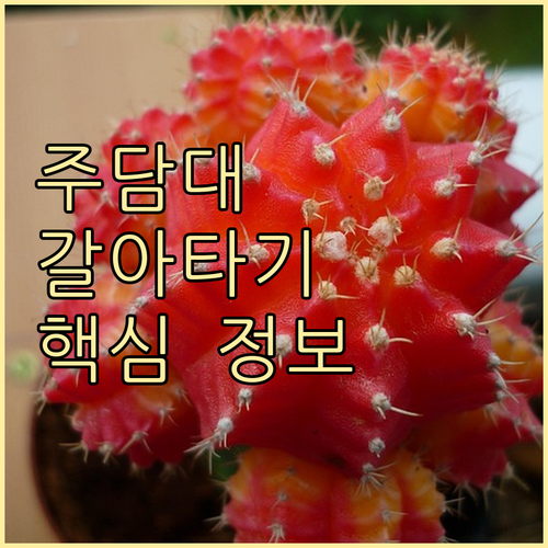 주택담보대출 갈아타기 핵심 정보: 이자 절감, 정부 지원, 시기 선택