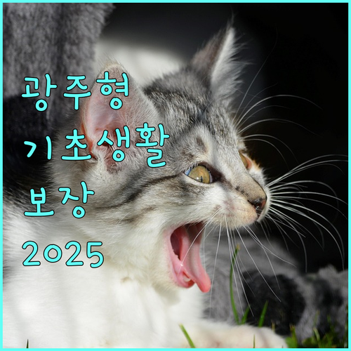 광주 시민을 위한 2025 광주형 기초생활보장: 대상, 혜택, 신청 안내
