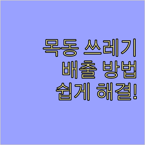 목동 쓰레기 문제 해결! 올바른 배출 방법, 재활용, 대형 폐기물