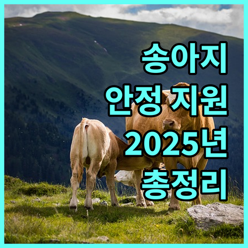 2025년 송아지생산안정 지원 사업 가이드 자격 조건부터 지원 금액까지