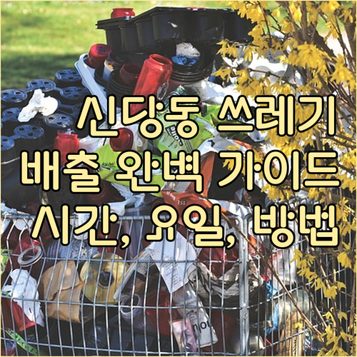 신당동 쓰레기 배출 완벽 가이드: 요일, 시간, 분리수거 방법