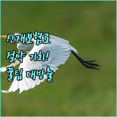 2025년 산재보험료 절약 기회! 산재예방요율제 활용법: 대상, 혜택, 신청