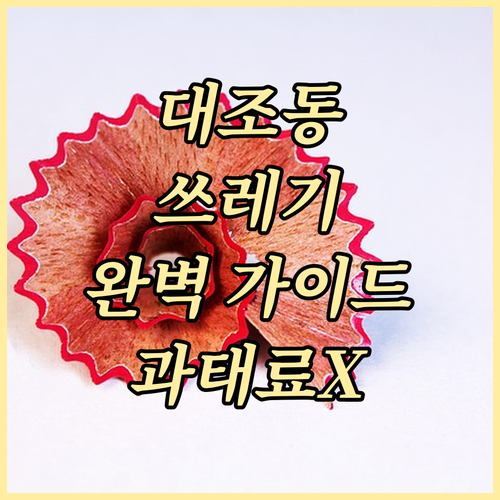 대조동 쓰레기 배출 완벽 가이드: 요일, 분리수거, 과태료 피하는 법