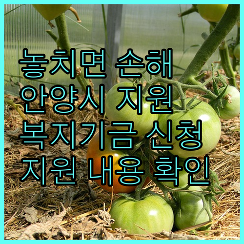 놓치면 손해! 2025 안양시 저소득층 지원 복지기금: 신청 방법 및 지원 내용