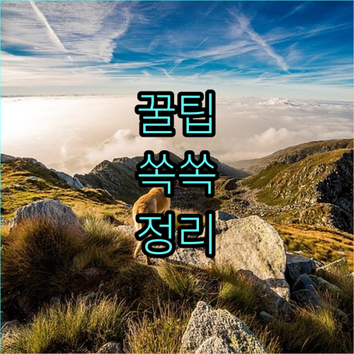 2025년 천안시 긴급지원 대상자 필독 위기 극복 기회