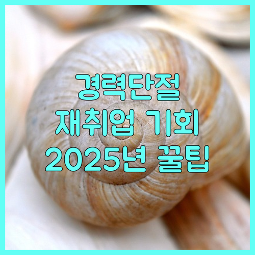 경력단절 여성과학기술인 지원 2025년 재취업 기회 잡는 법
