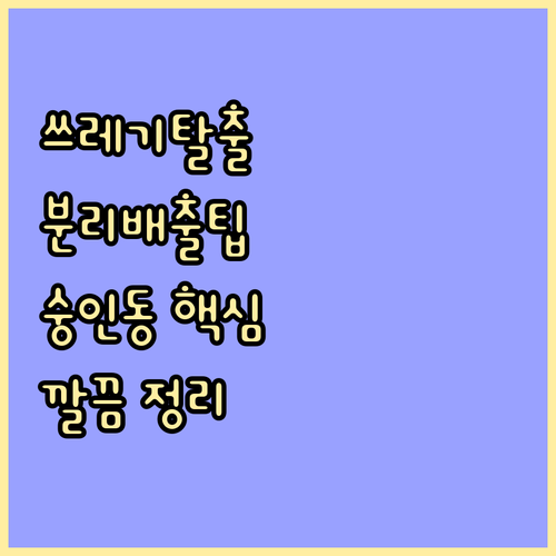 쓰레기 걱정 끝! 숭인동 분리배출 핵심 요약: 시간, 요일, 방법