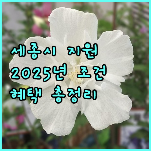 세종시 청년 주택임차보증금 이자 지원: 2025년 자격 조건, 혜택 총정리