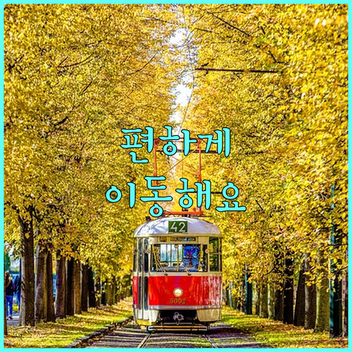 용인시 교통약자 이동지원 2025: 삶의 질을 높이는 이동 서비스, 쉽게 이용하세요