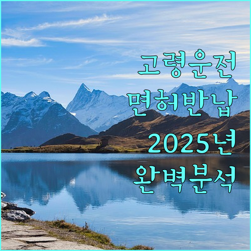 2025 경상남도 고령운전자 운전면허 반납 지원 정책 완벽 분석