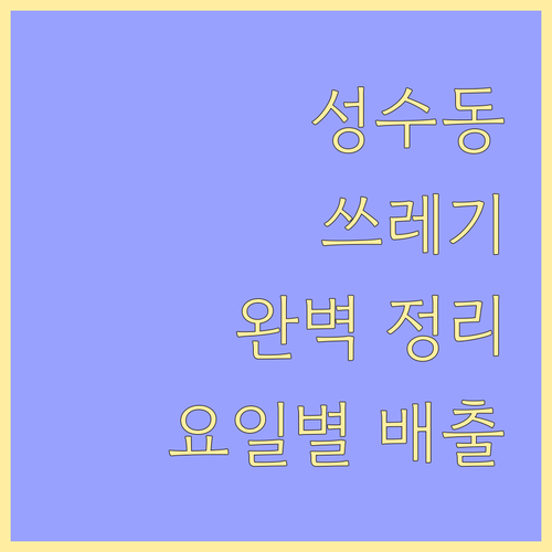 성수동 쓰레기 배출 완벽 정리: 요일별, 품목별 상세 안내