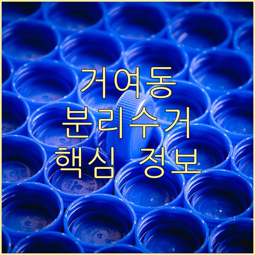거여동 쓰레기 분리수거 핵심 정보: 요일, 방법 완벽 안내