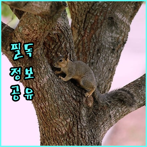 2025 북한이탈주민 정착 가산금 지원 자격 및 자동 지급 안내