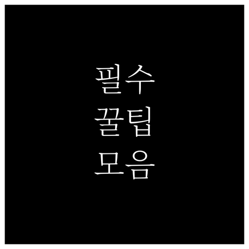 학자금대출 이자지원 2025년: 영동군이 주는 특별한 혜택