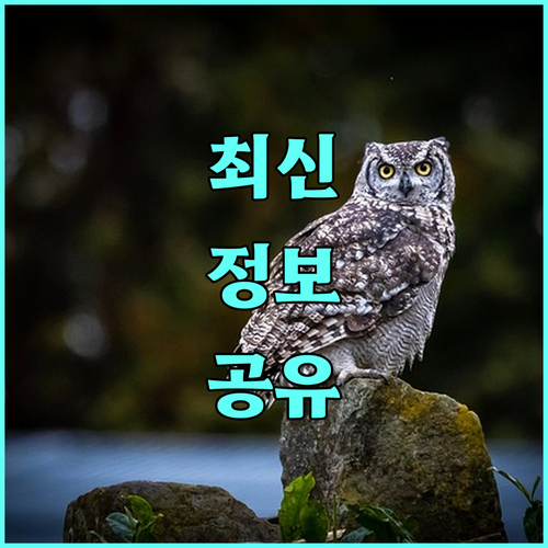 2025 직장어린이집 지원사업 대상 비용 신청 총정리