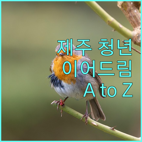 2025 제주 청년이어드림 지원금 파헤치기! 신청부터 혜택까지 A to Z