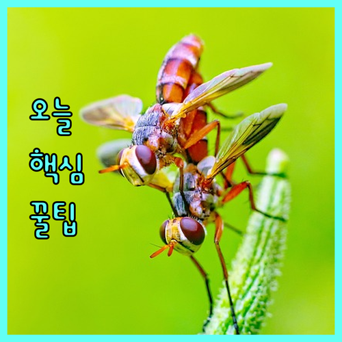 성공 전략 2025 여성기업 인력지원 완벽 분석