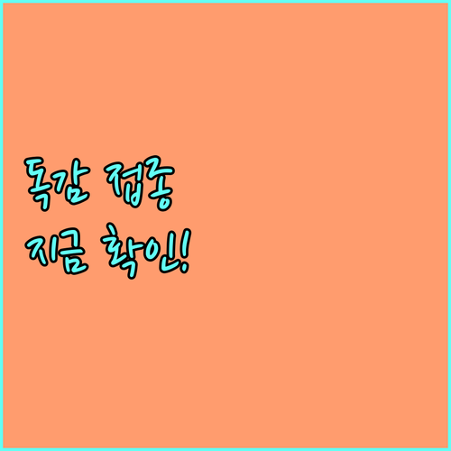 2025년 대구시 독감 예방접종 지원: 취약계층 건강 지킴이, 지금 바로 확인하세요