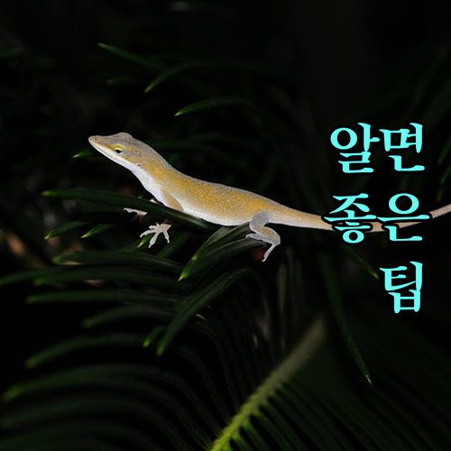 2025년 아파트 필수템 회생제동장치 지원 사업으로 관리비 절감 효과