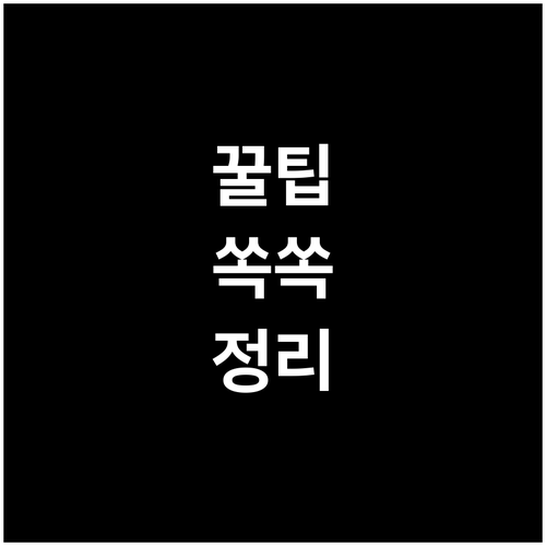 대형 폐기물 버리기 전 교하동 신고 절차 필수 확인