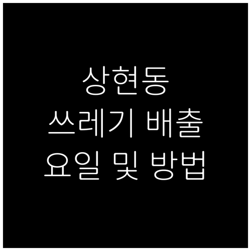 상현동 깨끗한 환경 쓰레기 배출 요일과 방법 한눈에