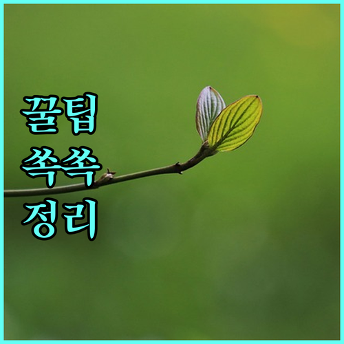 초·중·고 교육비 지원 2025 완벽 가이드: 신청 조건, 필요 서류, 자주 묻는 질문