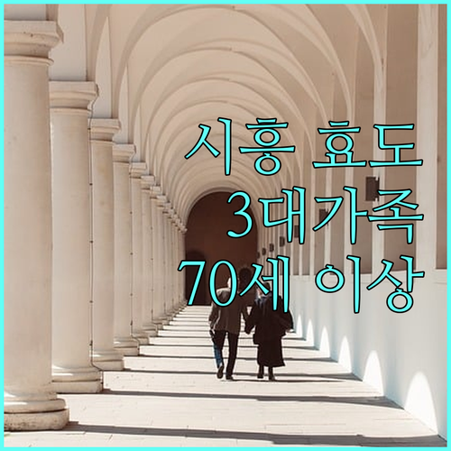 2025 시흥 효도수당: 70세 이상 3대가족 지원 조건 및 신청 방법