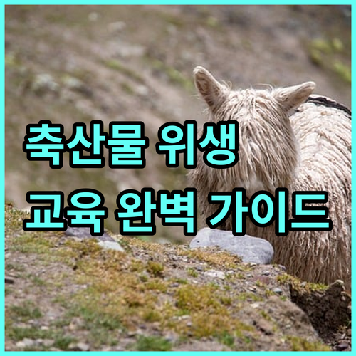 2025 축산물 위생교육 완벽 가이드: 대상, 신청, 비용 총정리