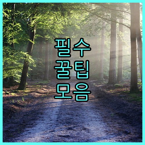 2025 광진구 명절격려금 5만원 한부모가족 자동지급 조건 총정리
