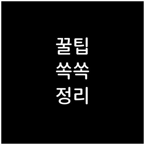 신흥동 주민 필독! 쓰레기 요일 시간 완벽 정리