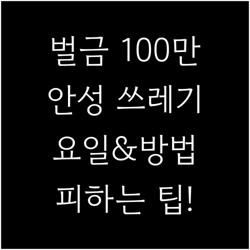 100만원 과태료 피하려면? 안성 쓰레기 배출 요일과 방법