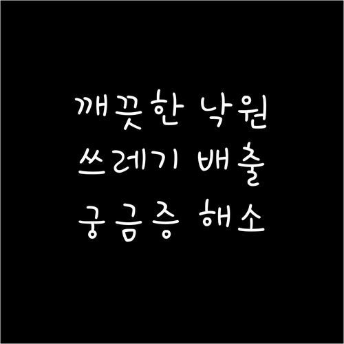 더 깨끗한 낙원동 안성시 쓰레기 배출 궁금증 해소