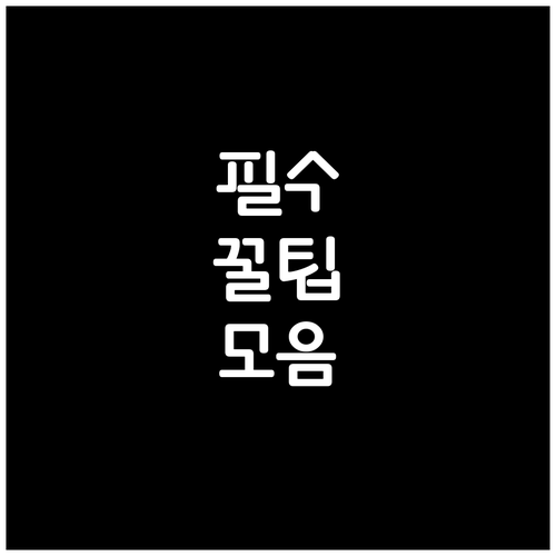 안성 가현동 쓰레기, 과태료 피하는 배출 요령