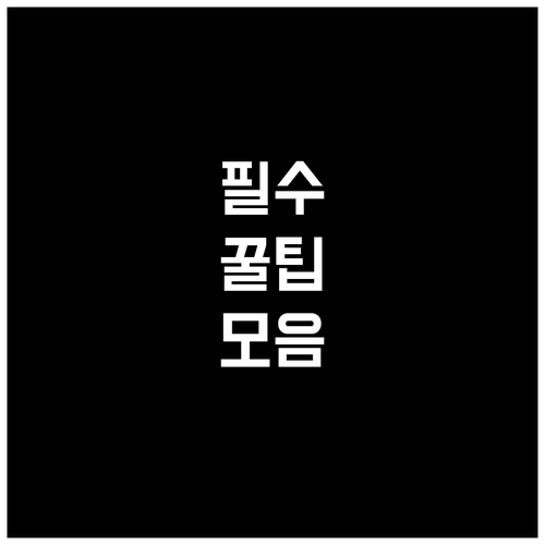 지금 확인 금릉동 쓰레기 배출 요일 시간 재활용 대형폐기물