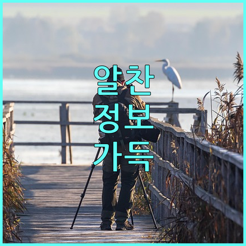2025 서울 소상공인 노란우산 공제 혜택 총정리