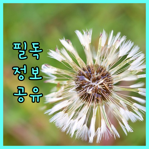2025 음성군 신혼부부 주택 지원 주거 안정의 첫걸음