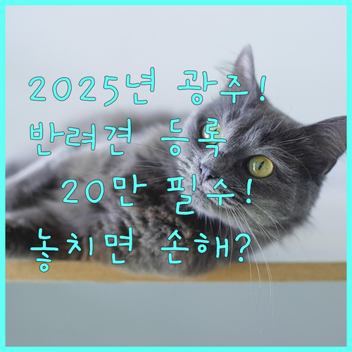 2025 광주시 반려동물 지원 반려견 동물 등록 및 20만원 지원 조건