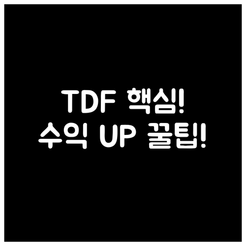세액공제 넘어 연금 수익률을 높이는 TDF와 세제 혜택 활용