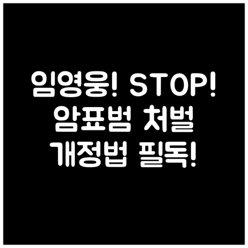 개정 공연법에 따른 임영웅 콘서트 암표 거래자 처벌 및 강력 대응 원칙
