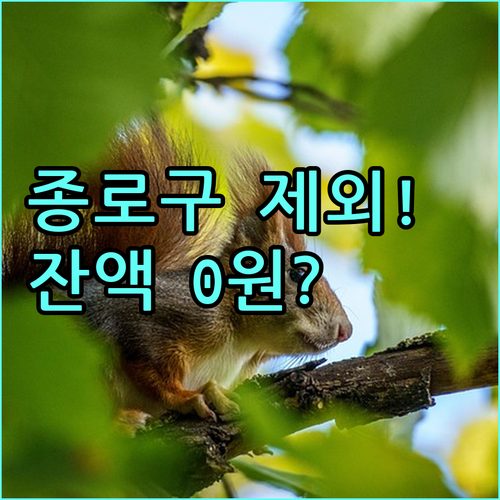 2025 서울시 장애인 이용권 종로구 제외 잔액 0원 필수 확인사항