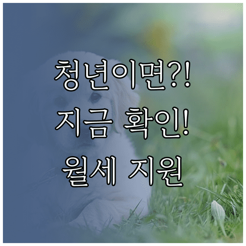 청년월세지원 2026년 신청 전 반드시 확인해야 할 자격조건