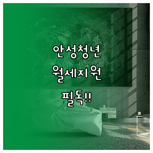 2026 안성시 청년월세지원 신청 방법과 대상 및 서류 총정리