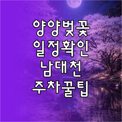 양양 벚꽃 축제 일정과 남대천 낙산사 주차 정보