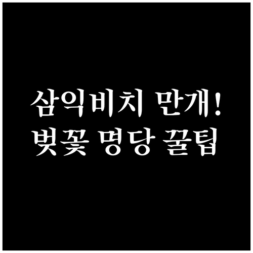 남천동 삼익비치 벚꽃 만개 시기와 방문 포인트 정리