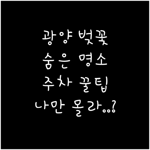광양 벚꽃 명소별 특징과 쾌적한 주차 방법 안내
