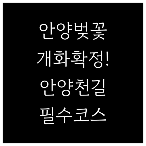 안양시 벚꽃 개화 예상일과 안양천 산책로 대중교통 이용법