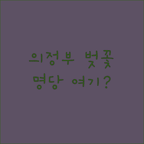 2026 의정부 벚꽃 나들이 정보와 구간별 명소 특징 분석