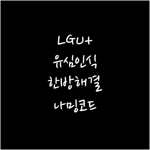 LGU+ 유심 다운로드 나밍 코드 입력과 인식 불량 해결법