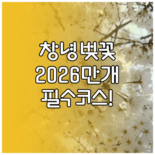 창녕 벚꽃 명소 추천 및 2026년 만개 예상 시기 정리