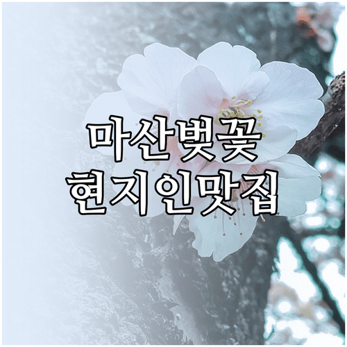마산 벚꽃 나들이 코스 개화 시기 및 근처 맛집 정리